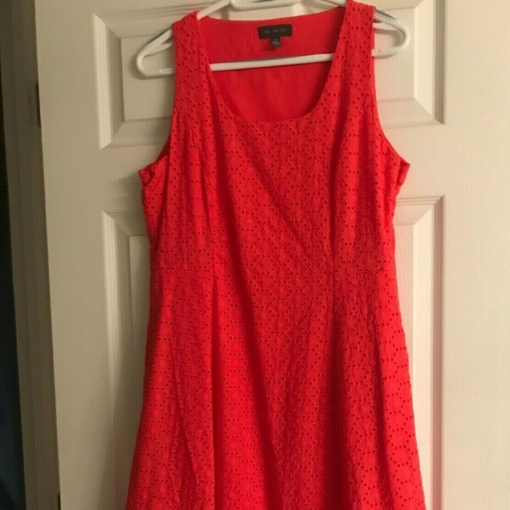 The Limited lined orange eyelet dress.